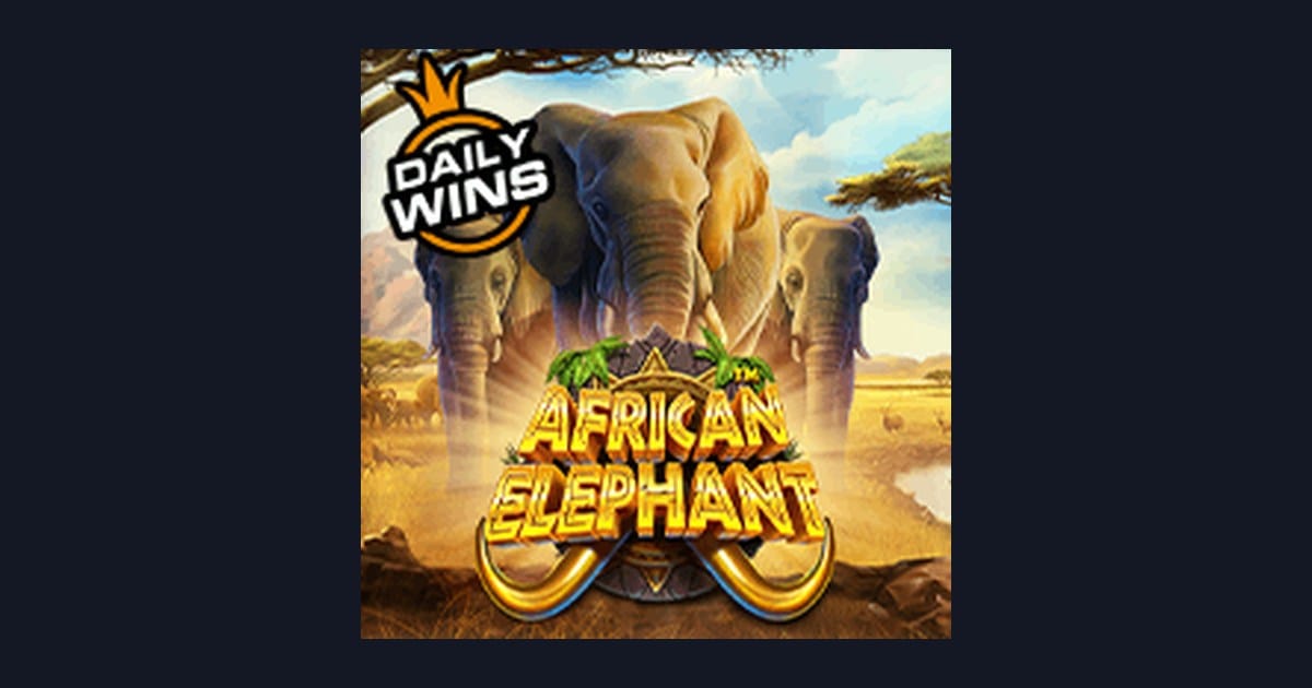 Bocoran RTP Hari Ini dan Tips Main Slot African Elephant dari Pragmatic Play